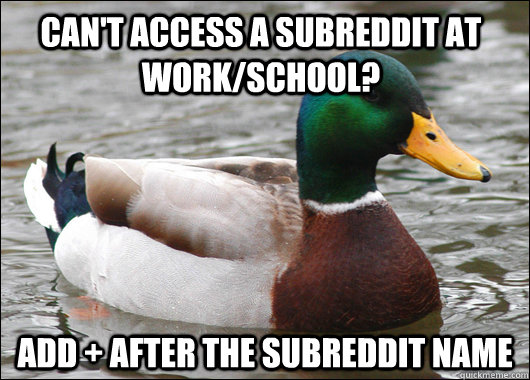 Can't access a subreddit at work/school? Add + after the subreddit name  Actual Advice Mallard
