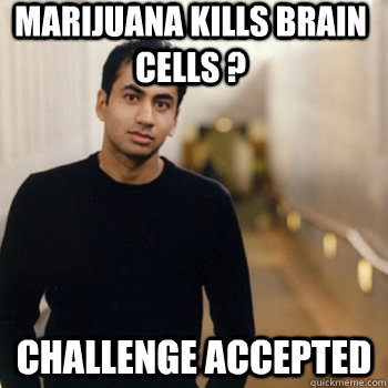 Marijuana kills brain cells ? Challenge accepted  Straight A Stoner