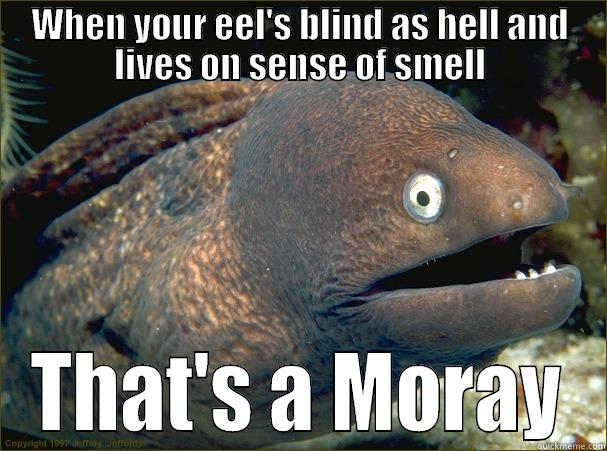 WHEN YOUR EEL'S BLIND AS HELL AND LIVES ON SENSE OF SMELL THAT'S A MORAY Bad Joke Eel
