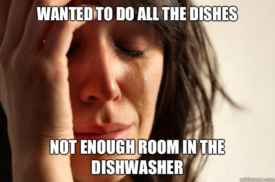Wanted to do all the dishes Not enough room in the dishwasher   First World Problems