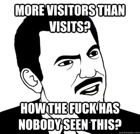 More visitors than visits? How the fuck has nobody seen this?  Seriously Are You Serious