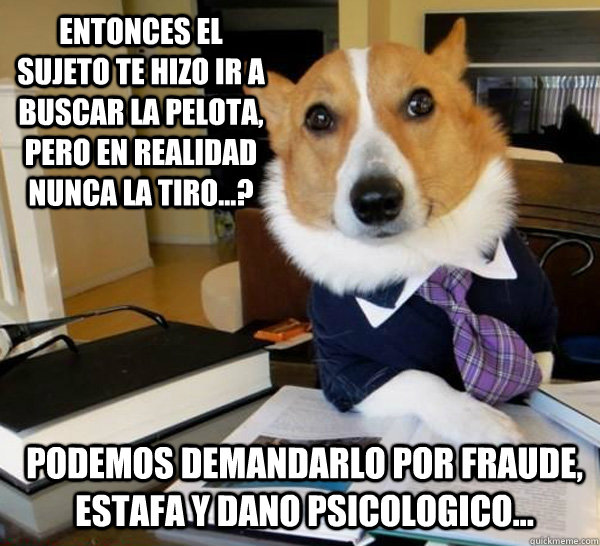 Entonces el sujeto te hizo ir a buscar la pelota, pero en realidad nunca la tiro...? Podemos demandarlo por fraude, estafa y dano psicologico...  Lawyer Dog