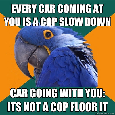 every car coming at you is a cop slow down car going with you: its not a cop floor it  Paranoid Parrot