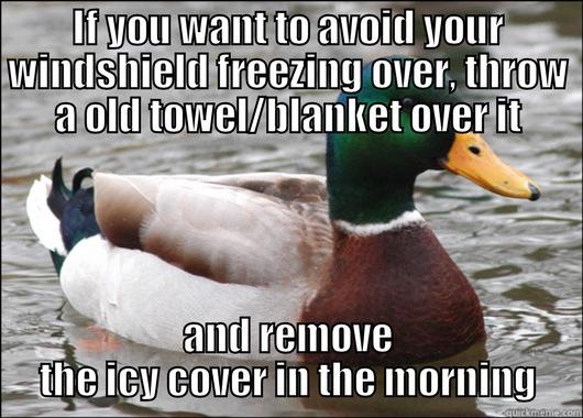 IF YOU WANT TO AVOID YOUR WINDSHIELD FREEZING OVER, THROW A OLD TOWEL/BLANKET OVER IT AND REMOVE THE ICY COVER IN THE MORNING Actual Advice Mallard