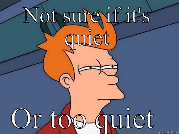 Friday too quiet! - NOT SURE IF IT'S QUIET OR TOO QUIET  Futurama Fry