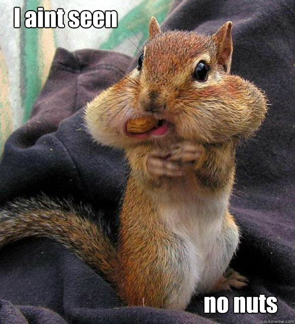 I aint seen no nuts - I aint seen no nuts  squirll