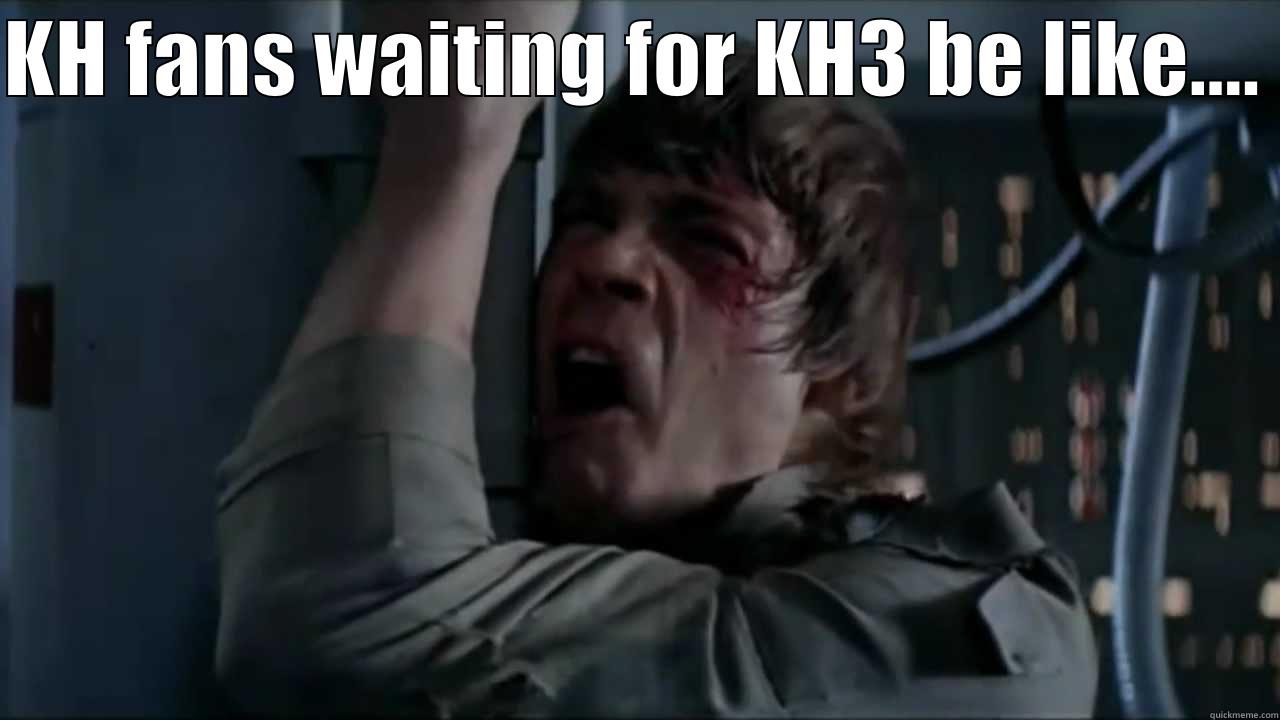 KH FANS WAITING FOR KH3 BE LIKE....   Misc