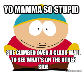 yo mamma so stupid she climbed over a glass wall to see what's on the other side - yo mamma so stupid she climbed over a glass wall to see what's on the other side  Misc