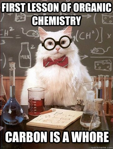 first lesson of organic chemistry carbon is a whore  Chemistry Cat