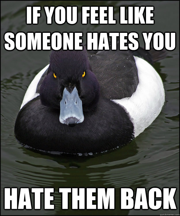 If You feel like someone hates you Hate them back - If You feel like someone hates you Hate them back  Angry Advice Duck