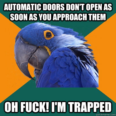 Automatic doors don't open as soon as you approach them oh fuck! i'm trapped  Paranoid Parrot