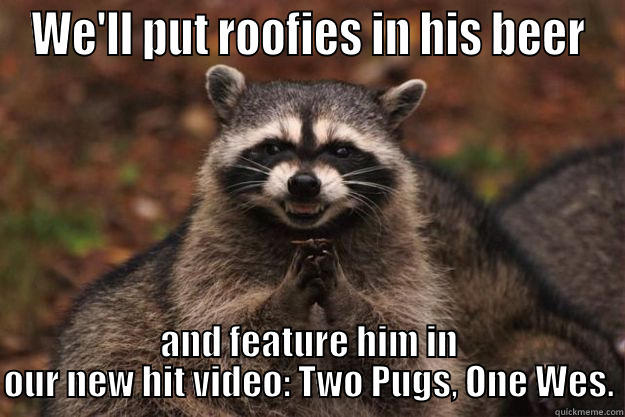 WE'LL PUT ROOFIES IN HIS BEER AND FEATURE HIM IN OUR NEW HIT VIDEO: TWO PUGS, ONE WES. Evil Plotting Raccoon