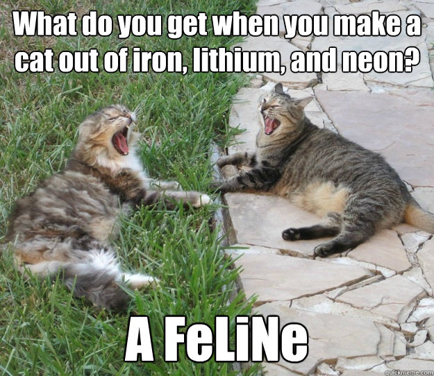 What do you get when you make a cat out of iron, lithium, and neon? A FeLiNe - What do you get when you make a cat out of iron, lithium, and neon? A FeLiNe  Cats Got Jokes