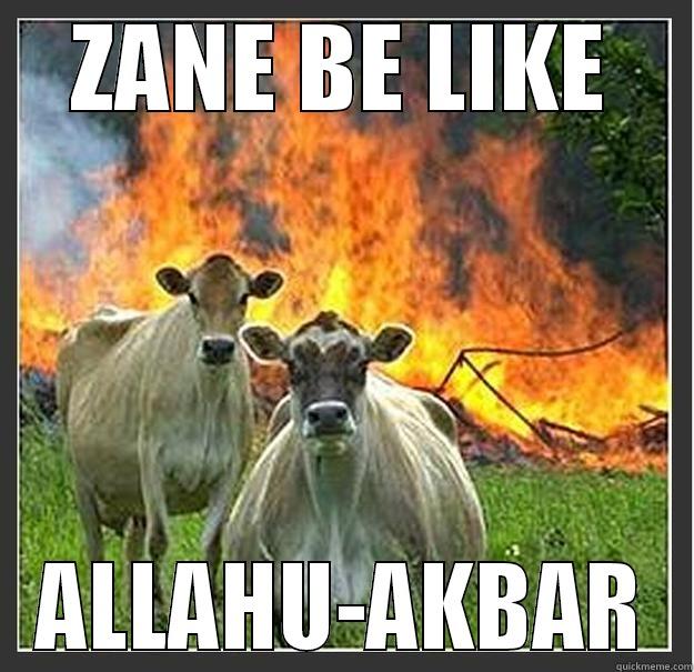 ZANE BE LIKE ALLAHU-AKBAR Evil cows