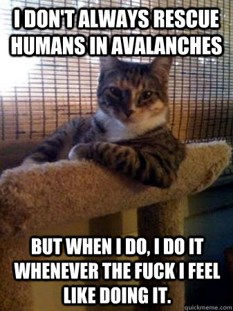 I don't always rescue humans in avalanches but when I do, I do it whenever the fuck I feel like doing it.  The Most Interesting Cat in the World
