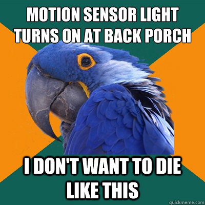 motion sensor light turns on at back porch I don't want to die like this  Paranoid Parrot