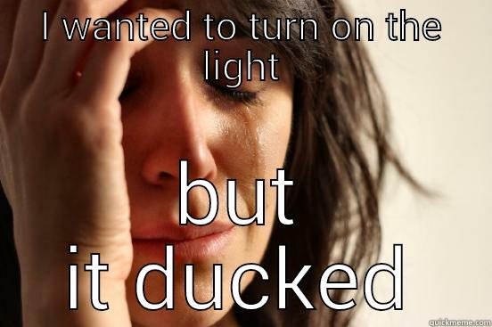 I WANTED TO TURN ON THE LIGHT BUT IT DUCKED First World Problems