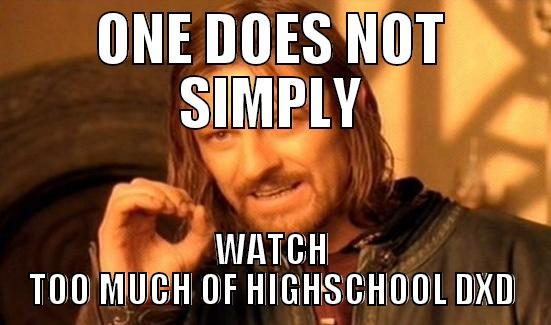 ONE DOES NOT SIMPLY WATCH TOO MUCH OF HIGHSCHOOL DXD Boromir