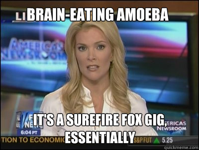 BRAIN-EATING AMOEBA It's a surefire Fox gig, essentially   Megyn Kelly