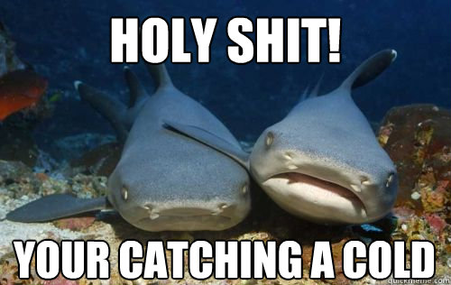 holy shit! your catching a cold  Compassionate Shark Friend