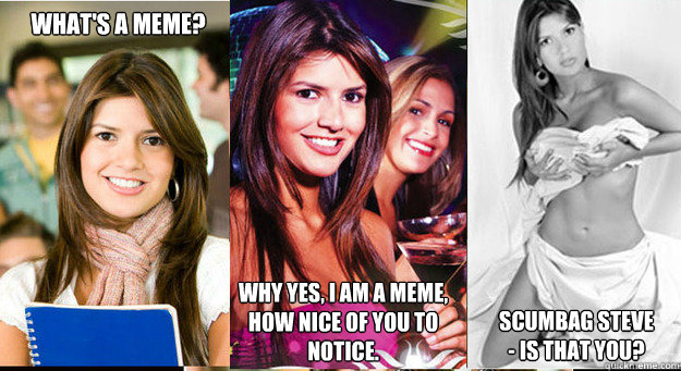 What's a Meme? Why Yes, I am a Meme, 
How nice of you to notice. Scumbag Steve
- Is That You?  Call 911