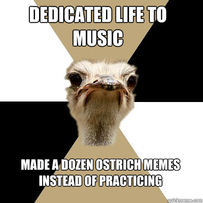Dedicated life to music Made a dozen ostrich memes instead of practicing  Music Major Ostrich