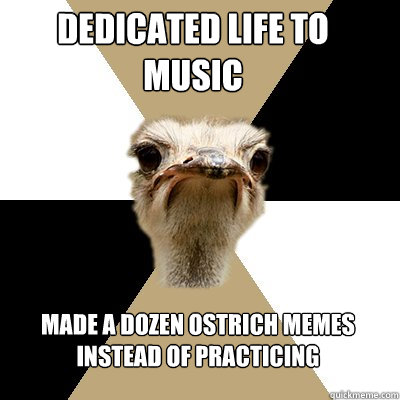 Dedicated life to music Made a dozen ostrich memes instead of practicing - Dedicated life to music Made a dozen ostrich memes instead of practicing  Music Major Ostrich