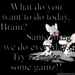 WHAT DO YOU WANT TO DO TODAY, BRAIN?                                                                                                                         SAME THING WE DO EVERYDAY. TRY TO MAKE SOME GAINZ!! Misc