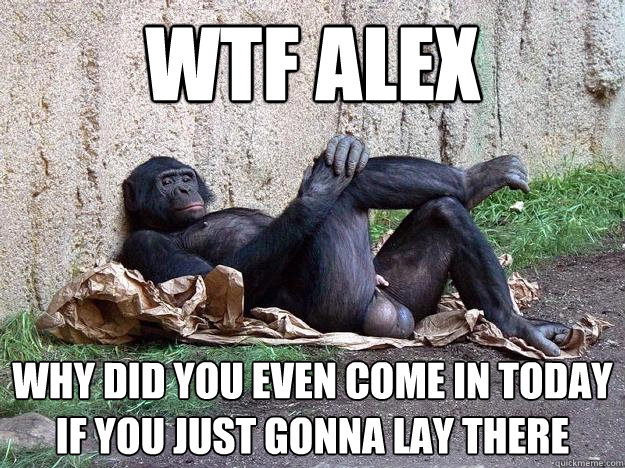 wtf alex why did you even come in today if you just gonna lay there - wtf alex why did you even come in today if you just gonna lay there  Hater Monkey