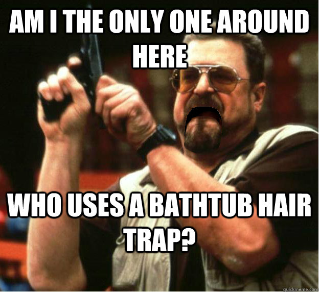 Am i the only one around here who uses a bathtub hair trap? - Am i the only one around here who uses a bathtub hair trap?  Misc