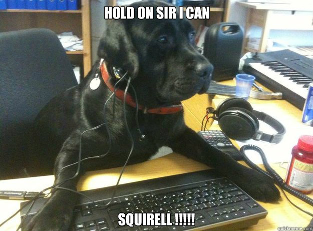 hold On sir I can Squirell !!!!!   Tech Support Dog