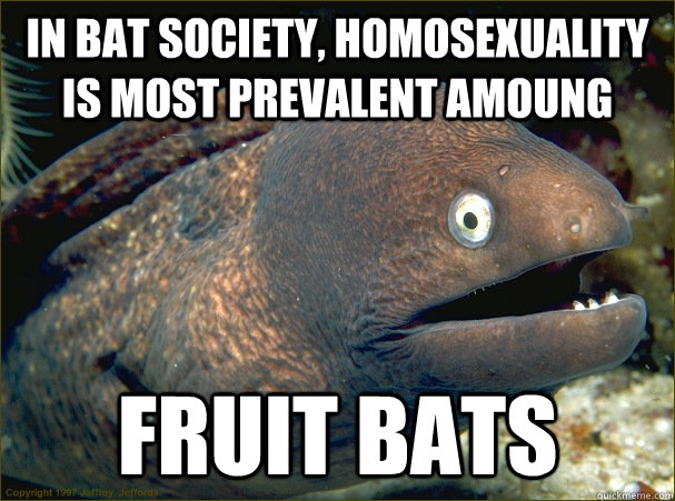 In bat society, homosexuality is most prevalent amoung fruit bats  Bad Joke Eel
