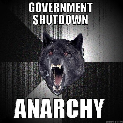 GOVERNMENT SHUTDOWN ANARCHY Insanity Wolf