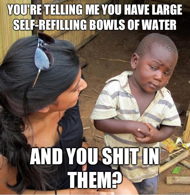 You're telling me you have large self-refilling bowls of water and you shit in them? - You're telling me you have large self-refilling bowls of water and you shit in them?  Skeptical Third World Kid