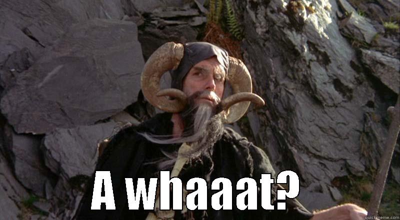  A WHAAAT? Misc