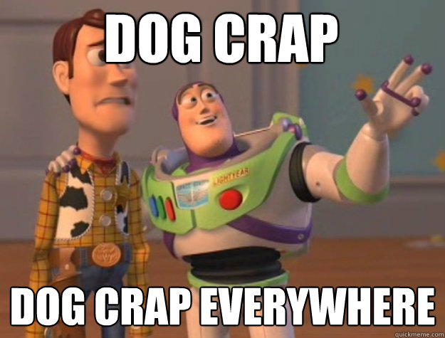 Dog crap Dog crap everywhere  toystory everywhere