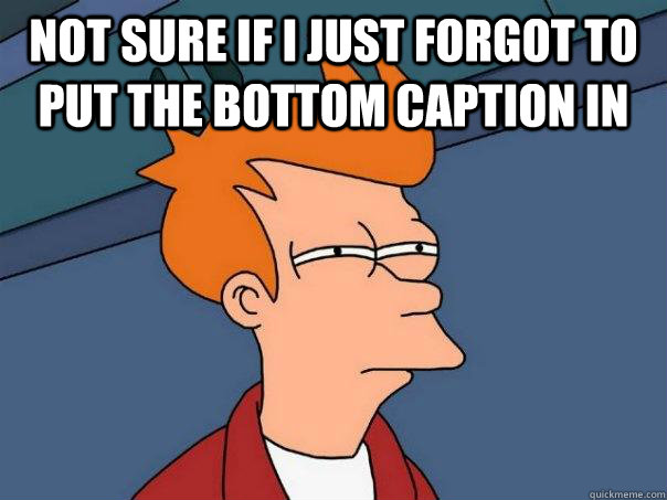Not sure if I just forgot to put the bottom caption in   Futurama Fry