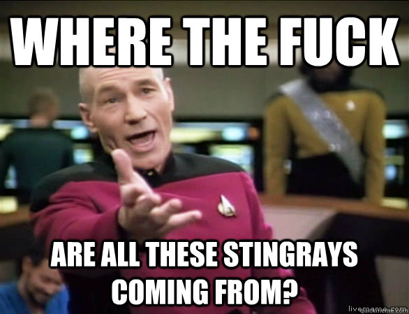 where the fuck are all these stingrays coming from?  Annoyed Picard HD