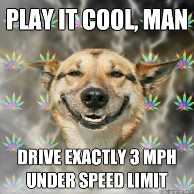 PLAY IT COOL, MAN DRIVE EXACTLY 3 MPH UNDER SPEED LIMIT  Stoner Dog