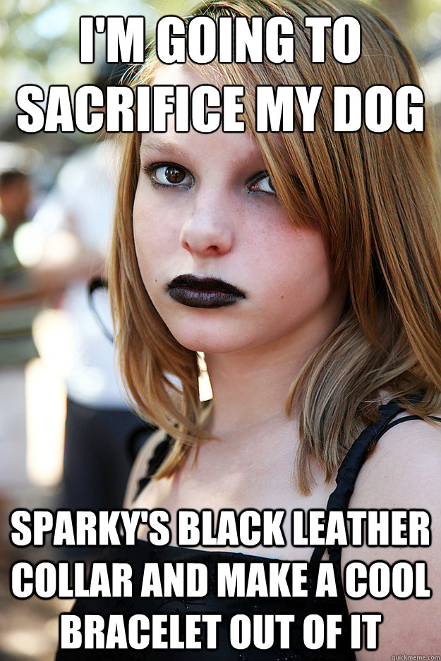i'm going to sacrifice my dog Sparky's black leather collar and make a cool bracelet out of it  Well Adjusted Goth