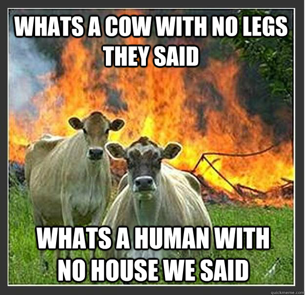 Whats a cow with no legs they said  Whats a human with no house we said  Evil cows