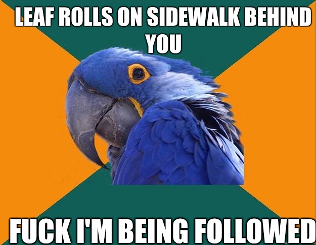 Leaf rolls on sidewalk behind you FUCK I'M BEING FOLLOWED   Paranoid Parrot
