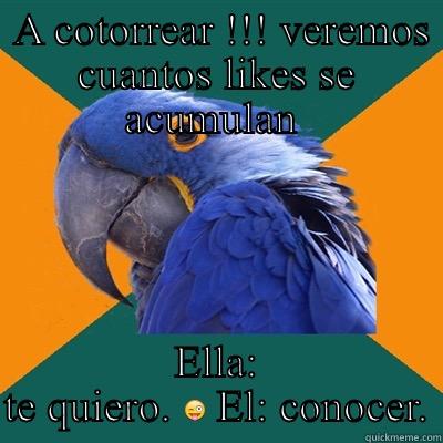   -  A COTORREAR !!! VEREMOS CUANTOS LIKES SE ACUMULAN  ELLA: TE QUIERO.  Paranoid Parrot