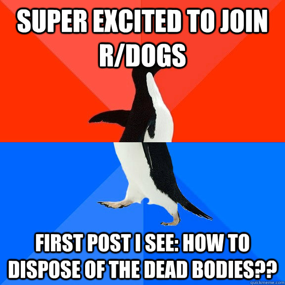 Super excited to join r/dogs first post i see: how to dispose of the dead bodies??  Socially Awesome Awkward Penguin
