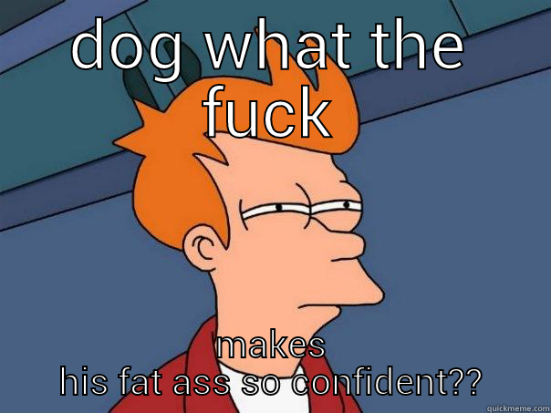 DOG WHAT THE FUCK MAKES HIS FAT ASS SO CONFIDENT?? Futurama Fry