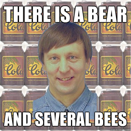 There is a bear And several bees  