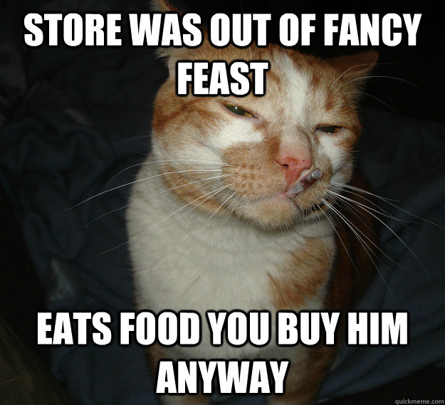 store was out of fancy feast eats food you buy him anyway  Cool Cat Craig