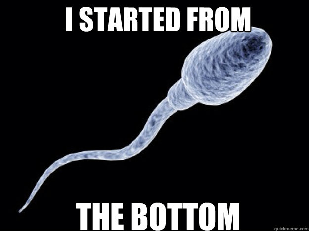 I Started from the bottom  