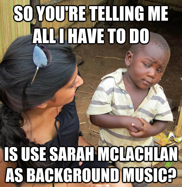 So you're telling me all I have to do  Is use Sarah McLachlan as background music?   Skeptical 3rd World Child