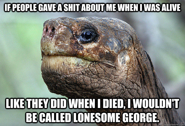 If people gave a shit about me when I was alive Like they did when I died, I wouldn't be called Lonesome George. - If people gave a shit about me when I was alive Like they did when I died, I wouldn't be called Lonesome George.  Lonesome George